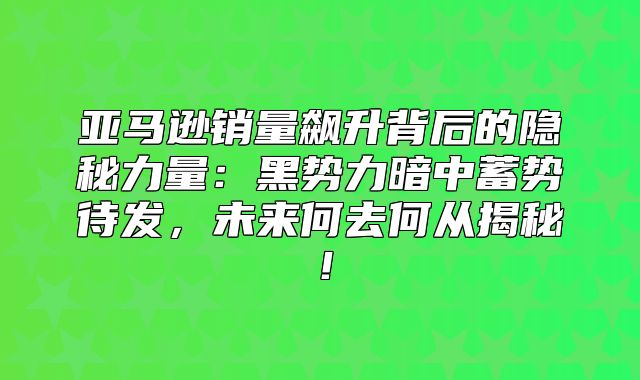 亚马逊销量飙升背后的隐秘力量：黑势力暗中蓄势待发，未来何去何从揭秘！