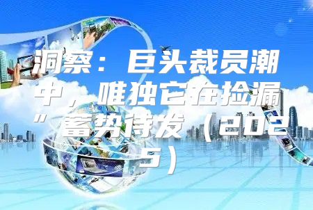 洞察：巨头裁员潮中，唯独它在捡漏”蓄势待发2025