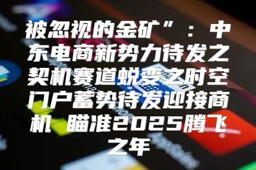被忽视的金矿”：中东电商新势力待发之契机赛道蜕变之时空门户蓄势待发迎接商机 瞄准2025腾飞之年