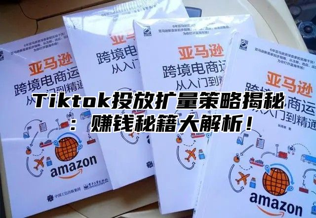 Tiktok投放扩量策略揭秘：赚钱秘籍大解析！