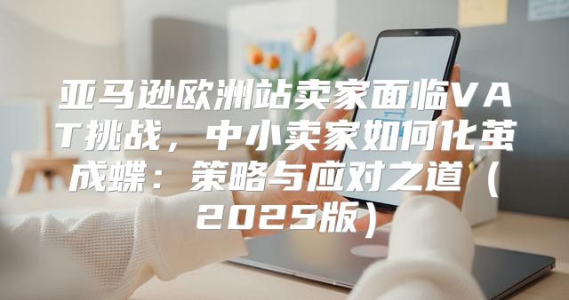 亚马逊欧洲站卖家面临VAT挑战，中小卖家如何化茧成蝶：策略与应对之道2025版