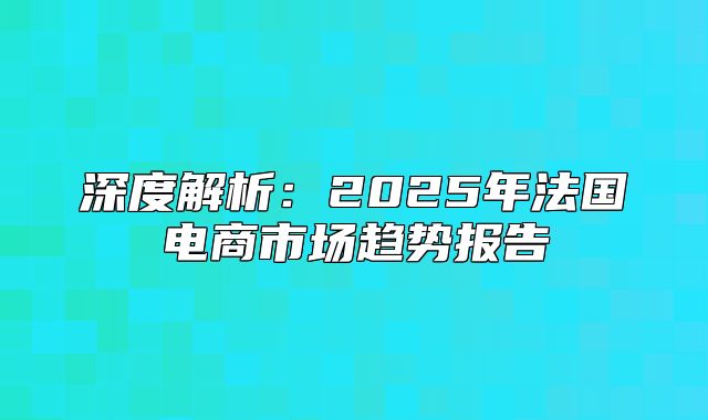 深度解析：2025年法国电商市场趋势报告
