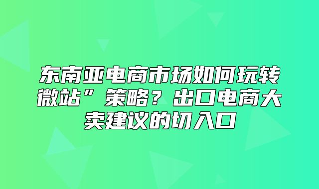 东南亚电商市场如何玩转微站”策略？出口电商大卖建议的切入口