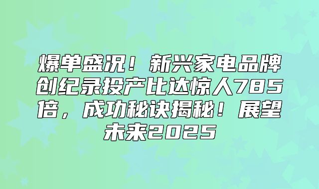 爆单盛况！新兴家电品牌创纪录投产比达惊人785倍，成功秘诀揭秘！展望未来2025