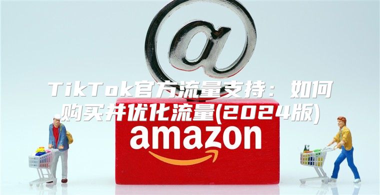 TikTok官方流量支持：如何购买并优化流量(2025版)