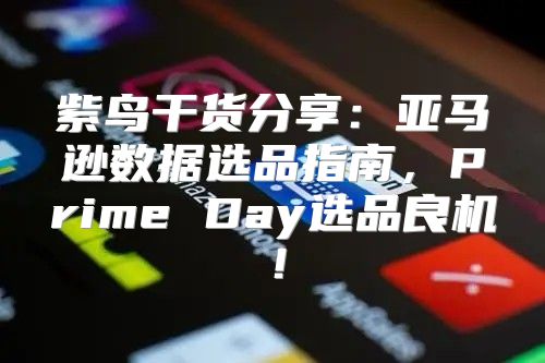 紫鸟干货分享：亚马逊数据选品指南，Prime Day选品良机！