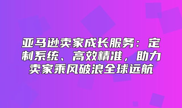 亚马逊卖家成长服务：定制系统、高效精准，助力卖家乘风破浪全球远航
