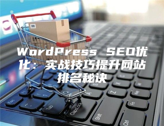 WordPress SEO优化：实战技巧提升网站排名秘诀