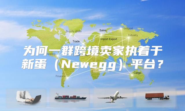 为何一群跨境卖家执着于新蛋Newegg平台？