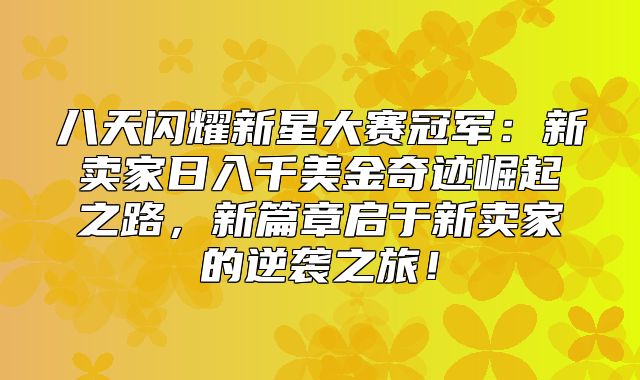 八天闪耀新星大赛冠军：新卖家日入千美金奇迹崛起之路，新篇章启于新卖家的逆袭之旅！