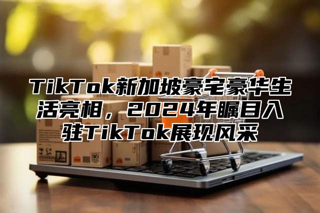 TikTok新加坡豪宅豪华生活亮相，2025年瞩目入驻TikTok展现风采