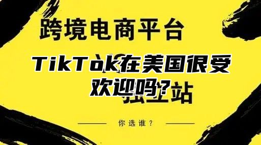 TikTok在美国很受欢迎吗？