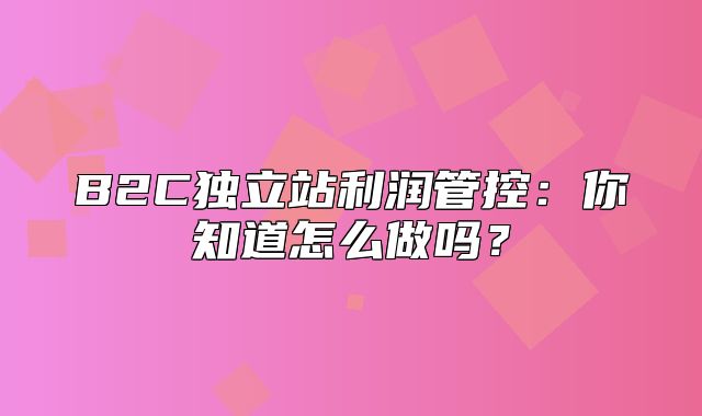 B2C独立站利润管控：你知道怎么做吗？