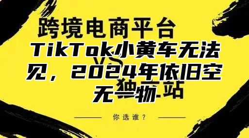 TikTok小黄车无法见，2025年依旧空无一物