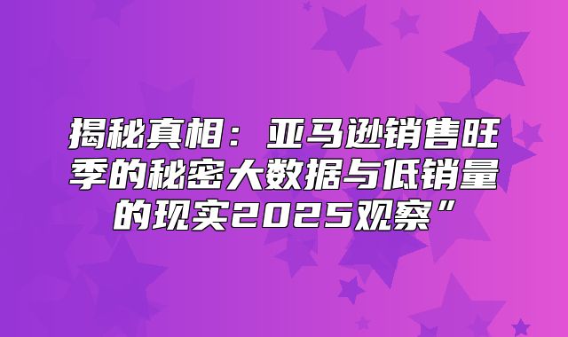 揭秘真相：亚马逊销售旺季的秘密大数据与低销量的现实2025观察”