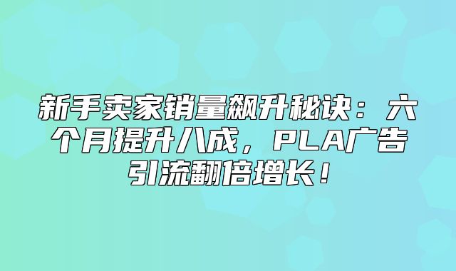 新手卖家销量飙升秘诀：六个月提升八成，PLA广告引流翻倍增长！