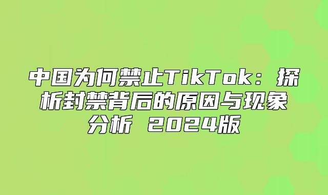 中国为何禁止TikTok：探析封禁背后的原因与现象分析 2025版