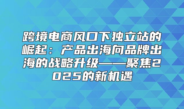 跨境电商风口下独立站的崛起：产品出海向品牌出海的战略升级——聚焦2025的新机遇