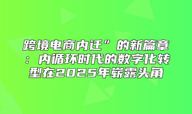 跨境电商内迁”的新篇章：内循环时代的数字化转型在2025年崭露头角