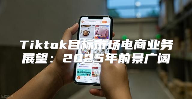 Tiktok目标市场电商业务展望：2025年前景广阔
