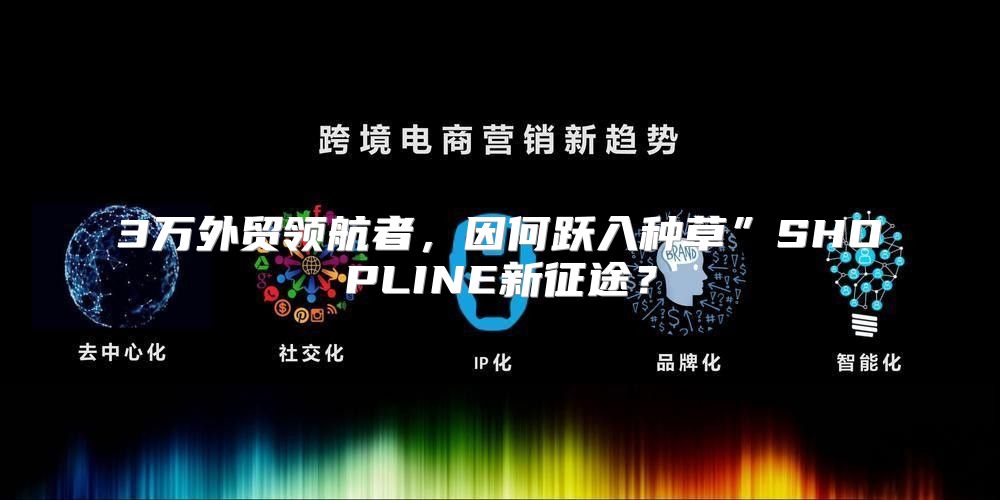 3万外贸领航者，因何跃入种草”SHOPLINE新征途？