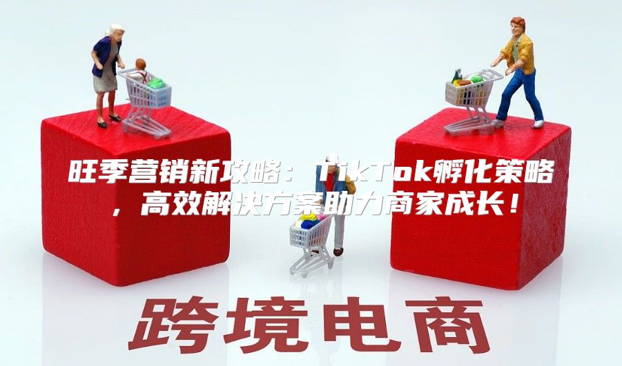 旺季营销新攻略：TikTok孵化策略，高效解决方案助力商家成长！