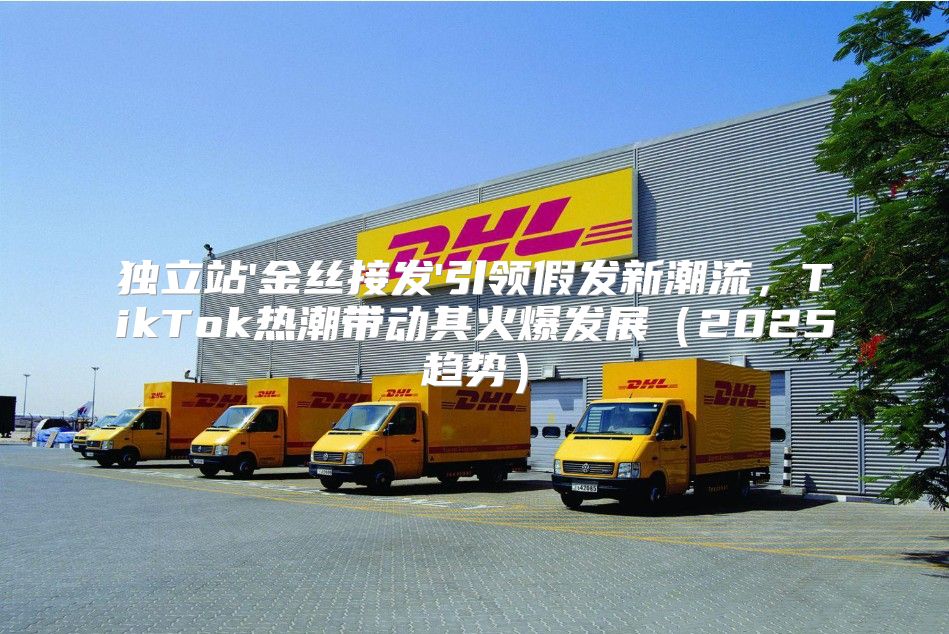 独立站'金丝接发'引领假发新潮流，TikTok热潮带动其火爆发展2025趋势