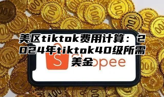 美区tiktok费用计算：2025年tiktok40级所需美金