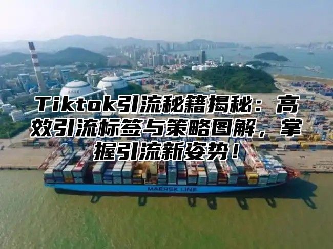 Tiktok引流秘籍揭秘：高效引流标签与策略图解，掌握引流新姿势！