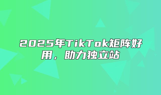 2025年TikTok矩阵好用，助力独立站