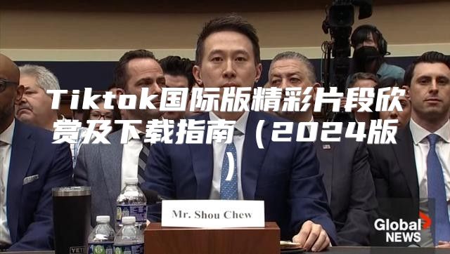 Tiktok国际版精彩片段欣赏及下载指南2025版
