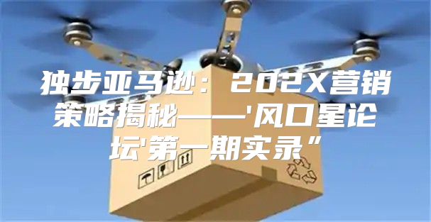 独步亚马逊：202X营销策略揭秘——'风口星论坛'第一期实录”