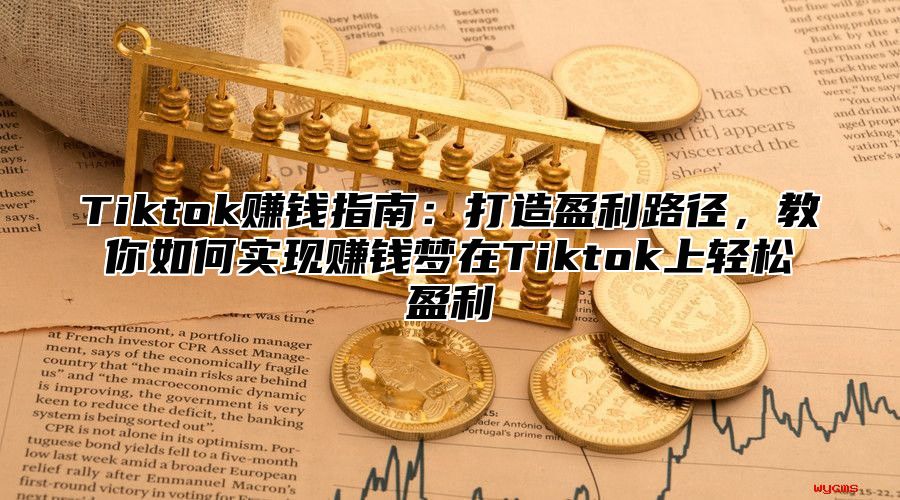 Tiktok赚钱指南：打造盈利路径，教你如何实现赚钱梦在Tiktok上轻松盈利
