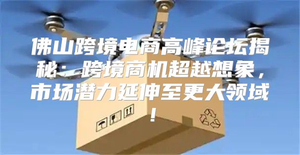 佛山跨境电商高峰论坛揭秘：跨境商机超越想象，市场潜力延伸至更大领域！