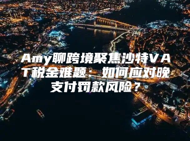 Amy聊跨境聚焦沙特VAT税金难题：如何应对晚支付罚款风险？