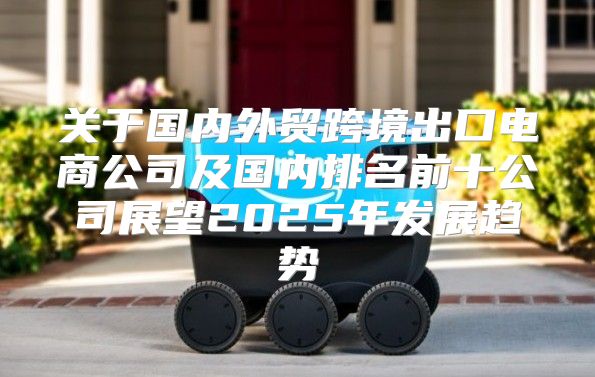 关于国内外贸跨境出口电商公司及国内排名前十公司展望2025年发展趋势