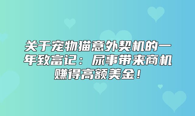 关于宠物猫意外契机的一年致富记：尿事带来商机赚得高额美金！