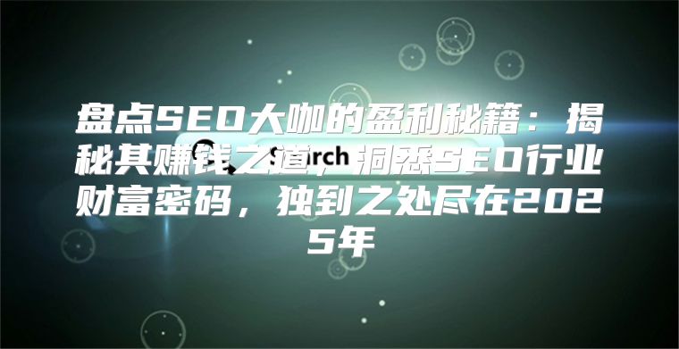 盘点SEO大咖的盈利秘籍：揭秘其赚钱之道，洞悉SEO行业财富密码，独到之处尽在2025年