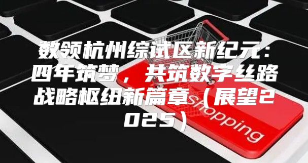 数领杭州综试区新纪元：四年筑梦，共筑数字丝路战略枢纽新篇章展望2025