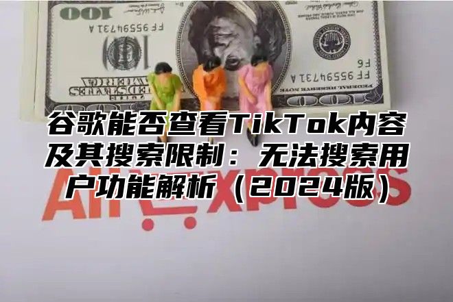 谷歌能否查看TikTok内容及其搜索限制：无法搜索用户功能解析2025版
