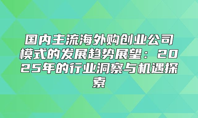 国内主流海外购创业公司模式的发展趋势展望：2025年的行业洞察与机遇探索