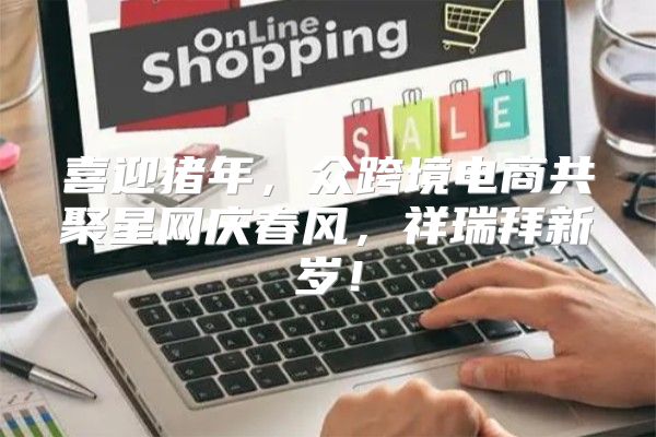 喜迎猪年，众跨境电商共聚星网庆春风，祥瑞拜新岁！