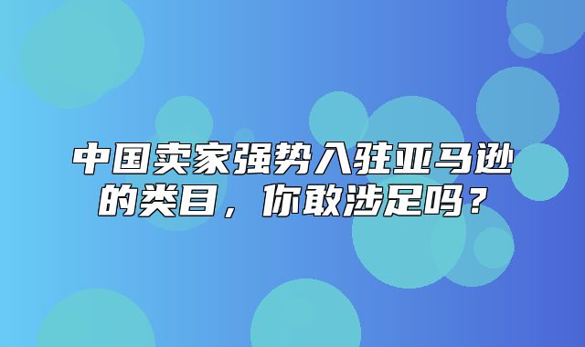 中国卖家强势入驻亚马逊的类目，你敢涉足吗？