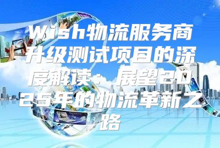 Wish物流服务商升级测试项目的深度解读：展望2025年的物流革新之路