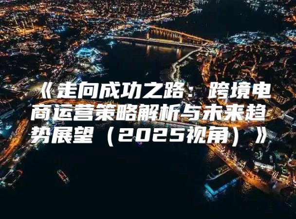 走向成功之路：跨境电商运营策略解析与未来趋势展望2025视角