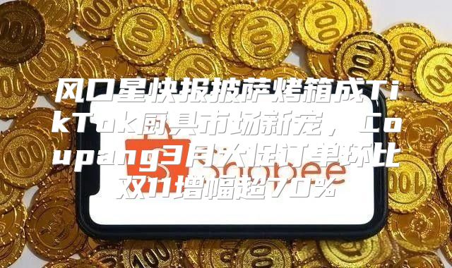 风口星快报披萨烤箱成TikTok厨具市场新宠，Coupang3月大促订单环比双11增幅超70%