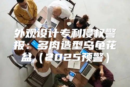 外观设计专利侵权警报：多肉造型乌龟花盆2025预警