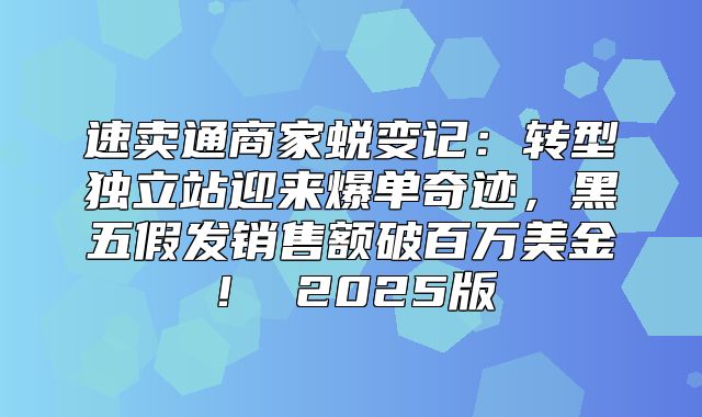 速卖通商家蜕变记：转型独立站迎来爆单奇迹，黑五假发销售额破百万美金！ 2025版