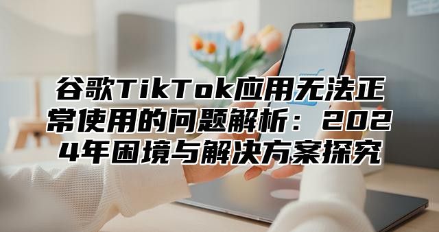 谷歌TikTok应用无法正常使用的问题解析：2025年困境与解决方案探究