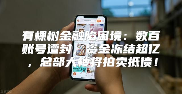 有棵树金融陷困境：数百账号遭封，资金冻结超亿，总部大楼将拍卖抵债！